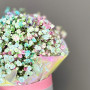 5 радужных гипсофил в коробке — вид 2